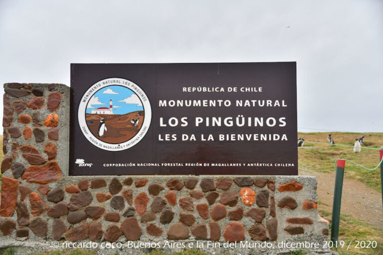 Sbarco sull’Isola Magdalena(Cile), nello Stretto di Magellano. L’isola ospita un’immensa colonia di pinguini magellanici, che si possono ammirare durante il cammino verso il faro. Insieme ai pinguini tanti gabbiani.
